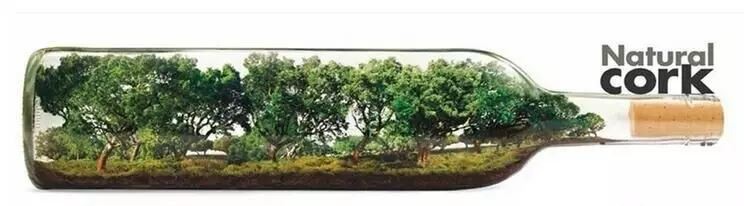 HTB17X3PPVXXXXbzaXXXq6xXFXXX7.webp HTB17X3PPVXXXXbzaXXXq6xXFXXX7.webp