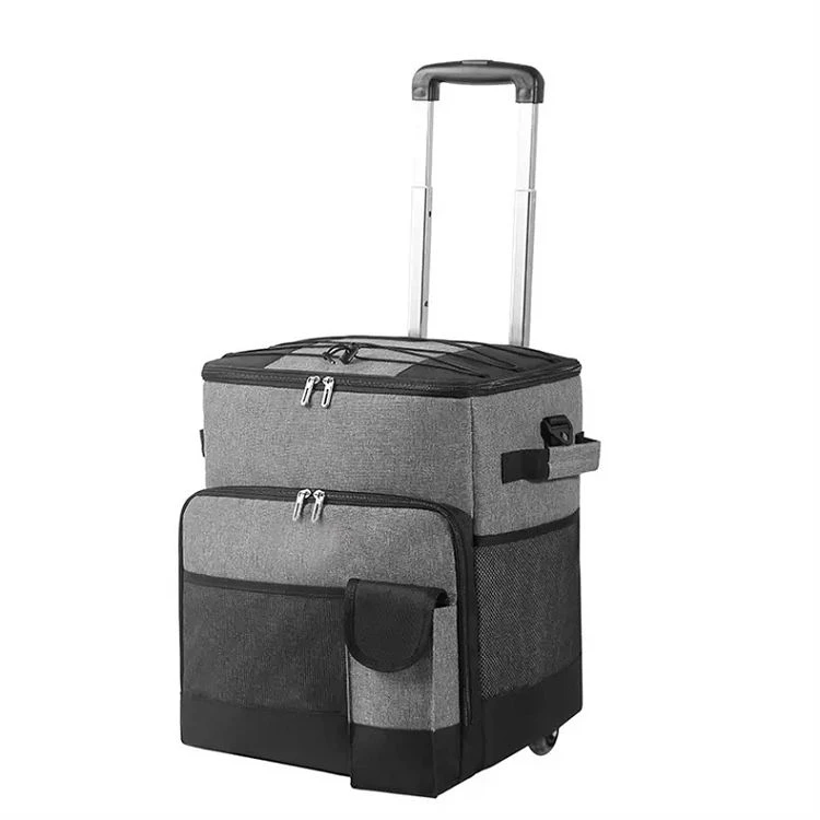 Mochila Hielera Con Ruedas
