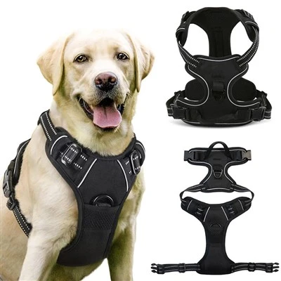 Arnés de mascotas personalizado